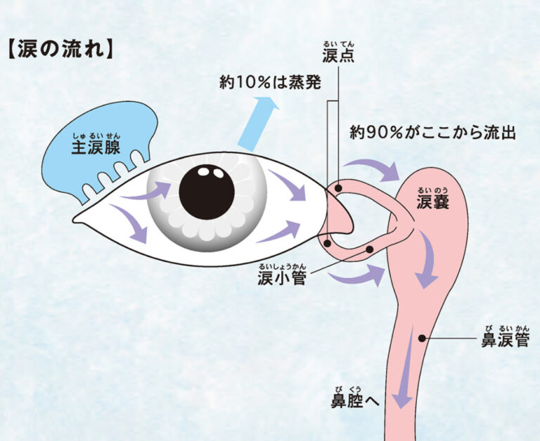 涙の流れ